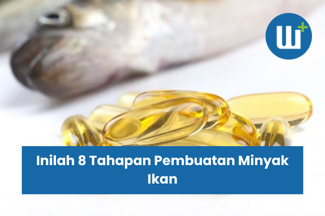 Inilah 8 Tahapan Pembuatan Minyak Ikan